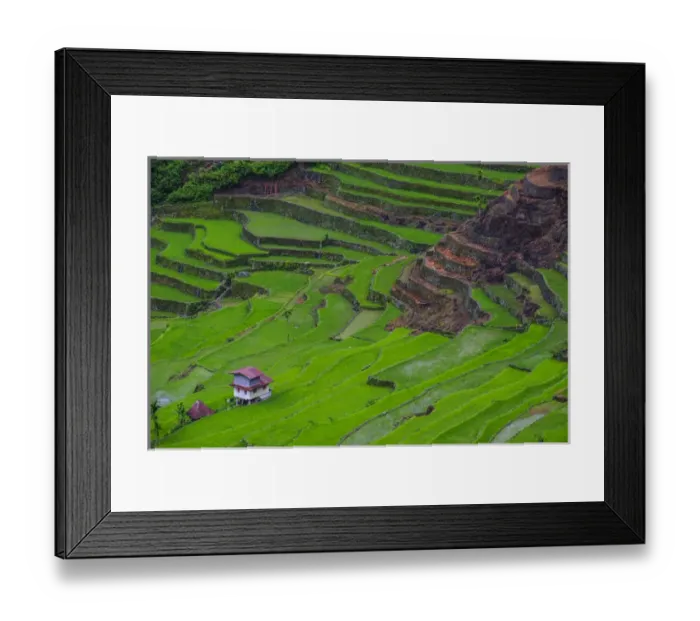 Framed Print : Batad rice terraces part of the world heritage sight Banaue, Luzon, Philippines Framed Print : Batad rice terraces part of the world heritage sight Banaue, Luzon, Philippines