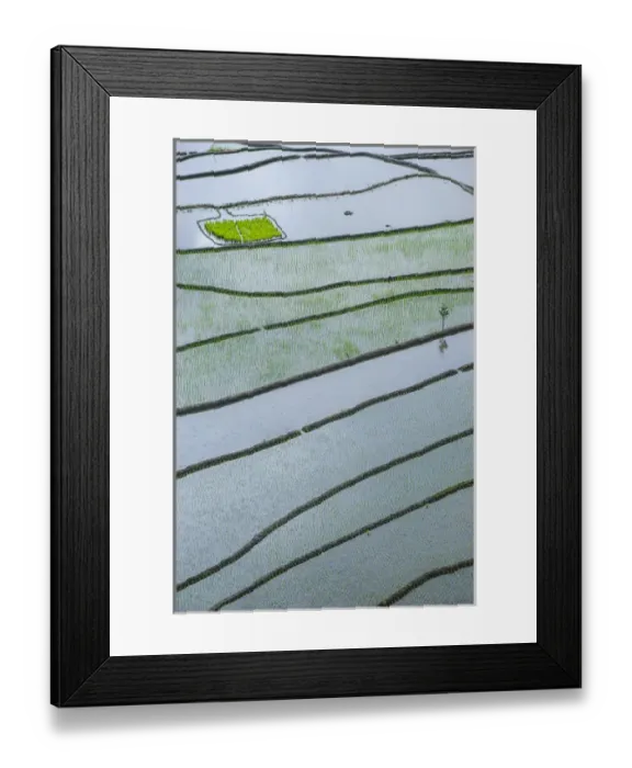 Framed Print : Unesco world heritage sight the rice terraces of Banaue, Northern Luzon, Philippines Framed Print : Unesco world heritage sight the rice terraces of Banaue, Northern Luzon, Philippines