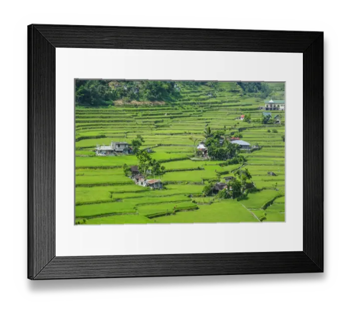 Framed Print : Hapao rice terraces part of the world heritage sight Banaue, Luzon, Philippines Framed Print : Hapao rice terraces part of the world heritage sight Banaue, Luzon, Philippines