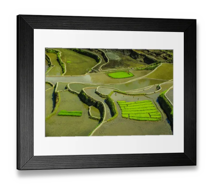 Framed Print : Unesco world heritage sight the rice terraces of Banaue, Northern Luzon, Philippines Framed Print : Unesco world heritage sight the rice terraces of Banaue, Northern Luzon, Philippines