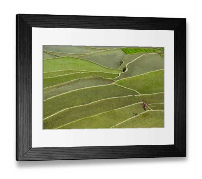 Framed Print : Unesco world heritage sight the rice terraces of Banaue, Northern Luzon, Philippines Framed Print : Unesco world heritage sight the rice terraces of Banaue, Northern Luzon, Philippines