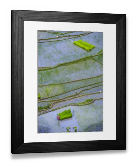 Framed Print : Unesco world heritage sight the rice terraces of Banaue, Northern Luzon, Philippines Framed Print : Unesco world heritage sight the rice terraces of Banaue, Northern Luzon, Philippines