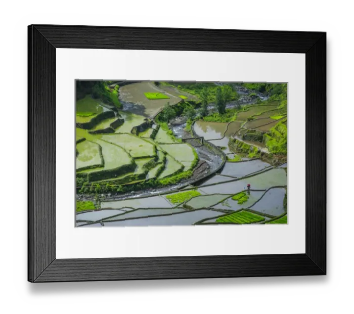 Framed Print : Unesco world heritage sight the rice terraces of Banaue, Northern Luzon, Philippines Framed Print : Unesco world heritage sight the rice terraces of Banaue, Northern Luzon, Philippines