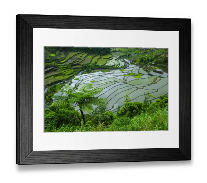 Framed Print : Unesco world heritage sight the rice terraces of Banaue, Northern Luzon, Philippines Framed Print : Unesco world heritage sight the rice terraces of Banaue, Northern Luzon, Philippines