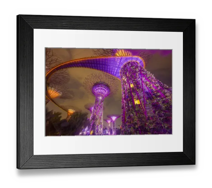 Framed Print : Singapore. Garden by the Sea towers at night