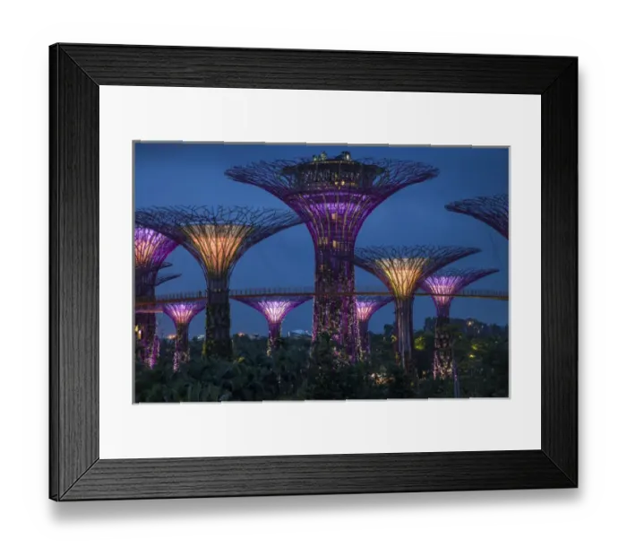 Framed Print : Singapore. Garden by the Sea towers at night Framed Print : Singapore. Garden by the Sea towers at night