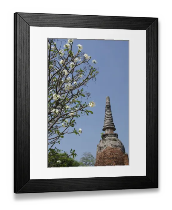 Framed Print : Thailand, Ayutthaya. Wat Phra Si Sanphet, the historic home to the royal palace from 1350-1448 Framed Print : Thailand, Ayutthaya. Wat Phra Si Sanphet, the historic home to the royal palace from 1350-1448