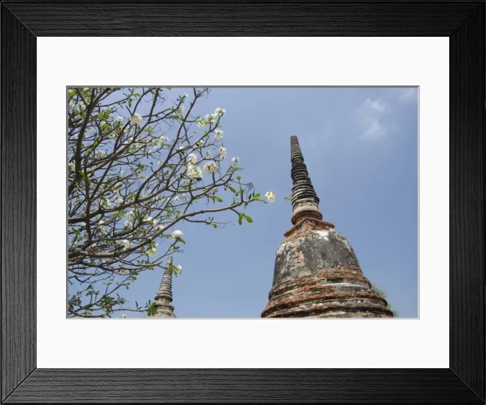 Framed Print : Thailand, Ayutthaya. Wat Phra Si Sanphet, the historic home to the royal palace from 1350-1448 Framed Print : Thailand, Ayutthaya. Wat Phra Si Sanphet, the historic home to the royal palace from 1350-1448