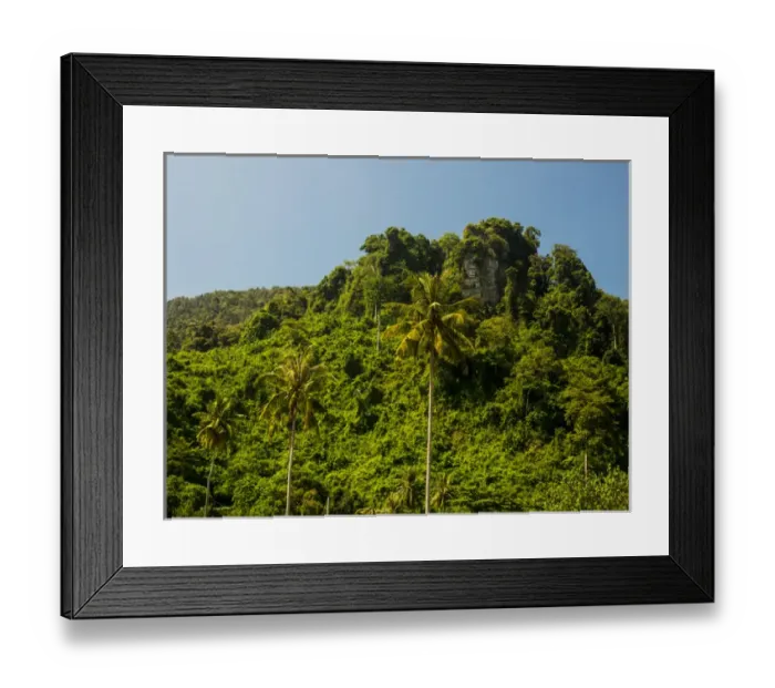 Framed Print : Southeast Asia; Thailand; Puhket; Phi Phi Islands; Hillside of Palms and fresh green trees Framed Print : Southeast Asia; Thailand; Puhket; Phi Phi Islands; Hillside of Palms and fresh green trees