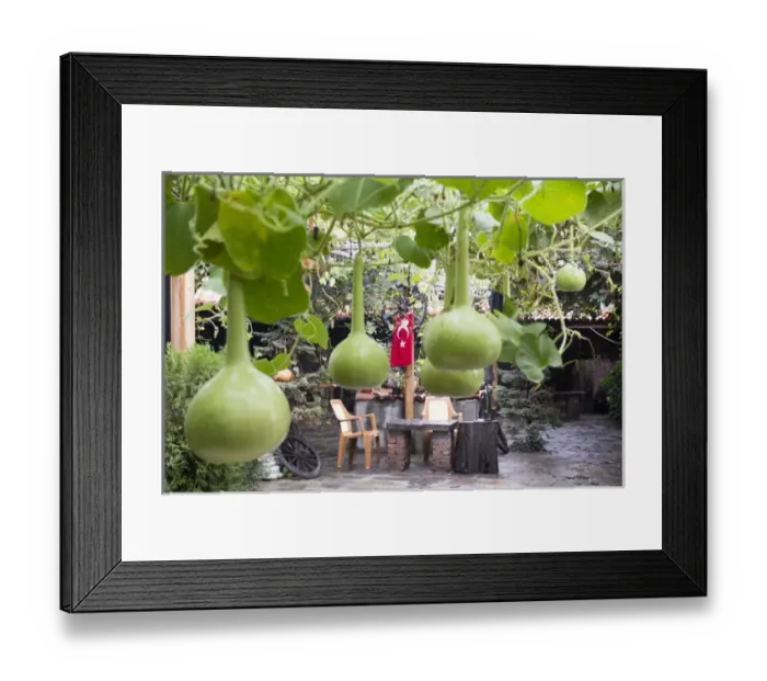 Framed Print : Asia, Turkey, Bursa. The 700-year-old village of Cumalikizik is significant site of Framed Print : Asia, Turkey, Bursa. The 700-year-old village of Cumalikizik is significant site of