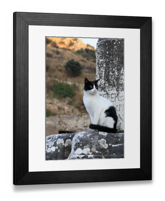 Framed Print : Turkey, Izmir Province, Selcuk, ancient city Ephesus, ancient world center of travel Framed Print : Turkey, Izmir Province, Selcuk, ancient city Ephesus, ancient world center of travel