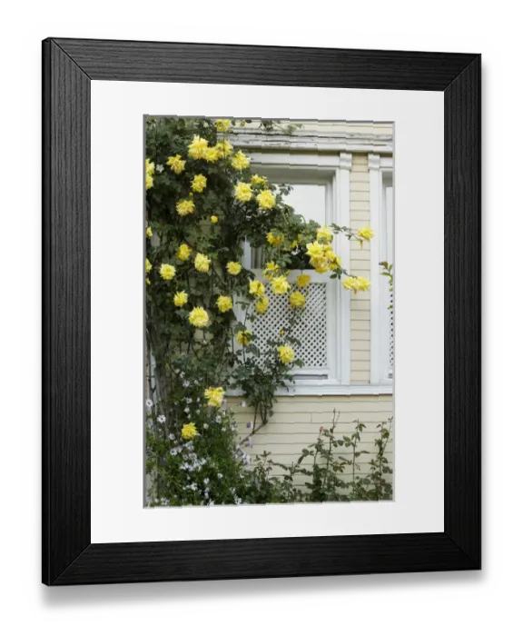 Framed Print : Istanbul, Turkey