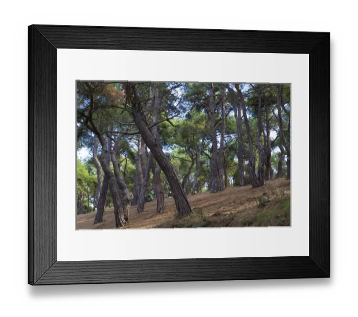 Framed Print : Asia, Turkey, Istanbul, The Prince Islands or Princes Islands or Princess Islands Framed Print : Asia, Turkey, Istanbul, The Prince Islands or Princes Islands or Princess Islands