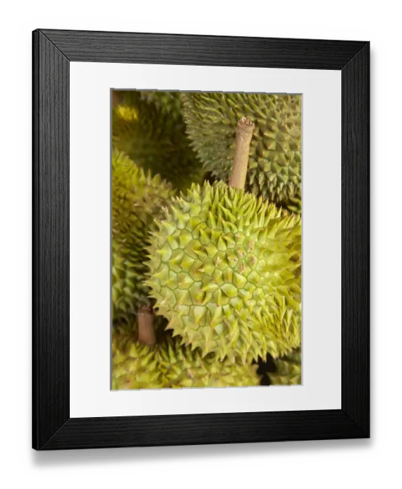 Framed Print : Durians, Can Duoc Market, Long An Province, Mekong Delta, Vietnam Framed Print : Durians, Can Duoc Market, Long An Province, Mekong Delta, Vietnam