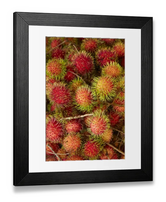 Framed Print : Rambutan fruit at Can Duoc Market, Long An Province, Mekong Delta, Vietnam Framed Print : Rambutan fruit at Can Duoc Market, Long An Province, Mekong Delta, Vietnam