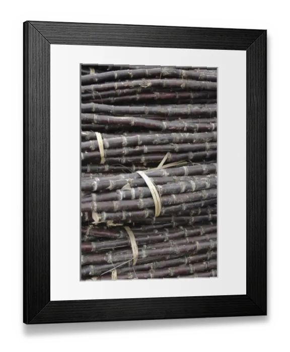 Framed Print : Asia, Vietnam. Bundled sugar cane for sale at the Dong Ba Market, Hue, Thua Thiena'Hue Framed Print : Asia, Vietnam. Bundled sugar cane for sale at the Dong Ba Market, Hue, Thua Thiena'Hue