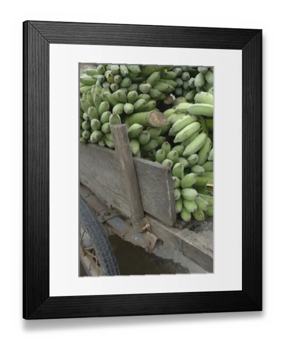 Framed Print : Asia, Vietnam. Green bananas on an old wooden cart, Hoi An, Quang Nam Province