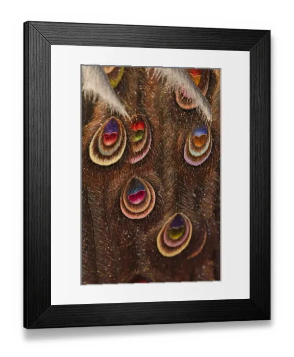 Framed Print : Embroidery piece depicting peacock feather Framed Print : Embroidery piece depicting peacock feather