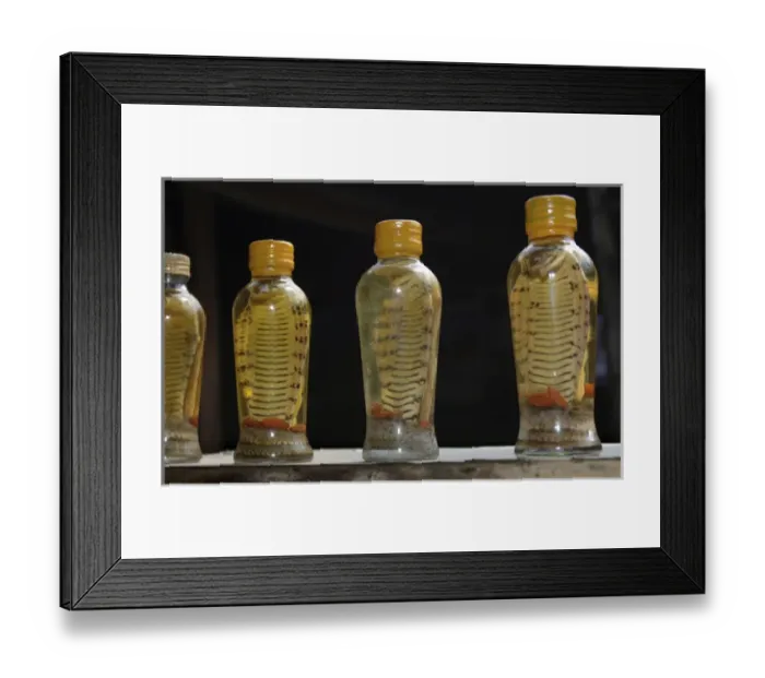 Framed Print : Asia, Vietnam. Snake wine for sale, Cai Be, Tien Giang Province