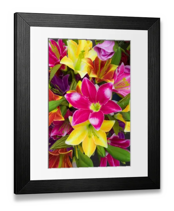 Framed Print : Vietnam, Hanoi, flower market Framed Print : Vietnam, Hanoi, flower market