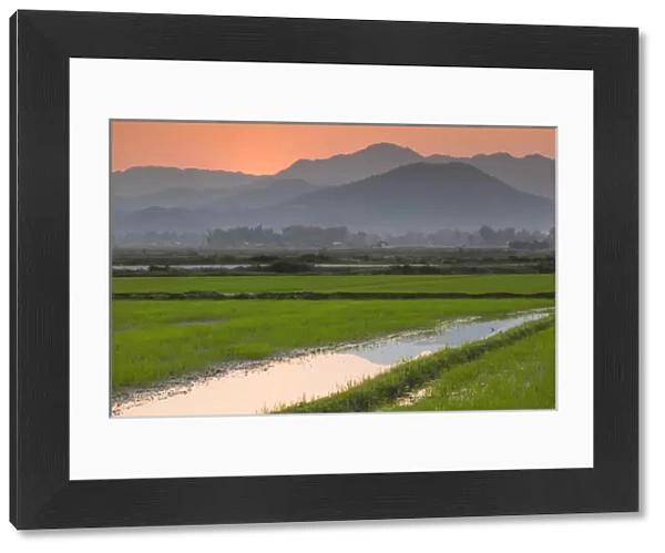 Vietnam, Dien Bien Phu, rice fields at sunset