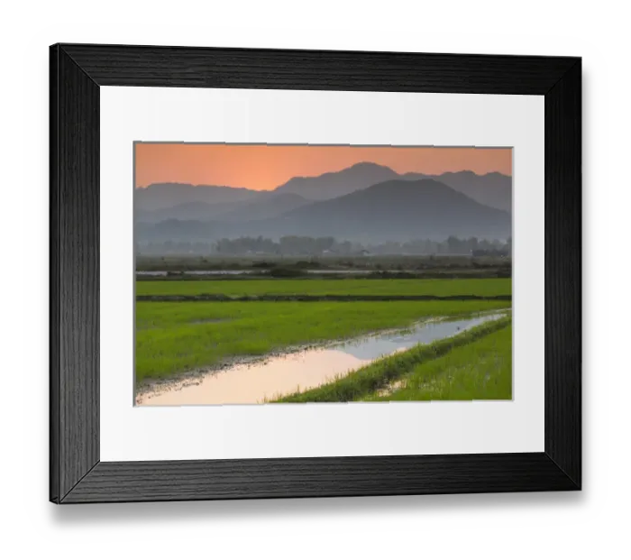 Framed Print : Vietnam, Dien Bien Phu, rice fields at sunset