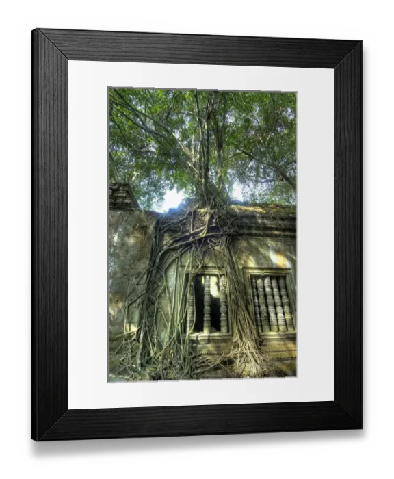 Framed Print : Cambodia, Angkor Wat. Tree grows over ruins of Beng Melea Temple Framed Print : Cambodia, Angkor Wat. Tree grows over ruins of Beng Melea Temple