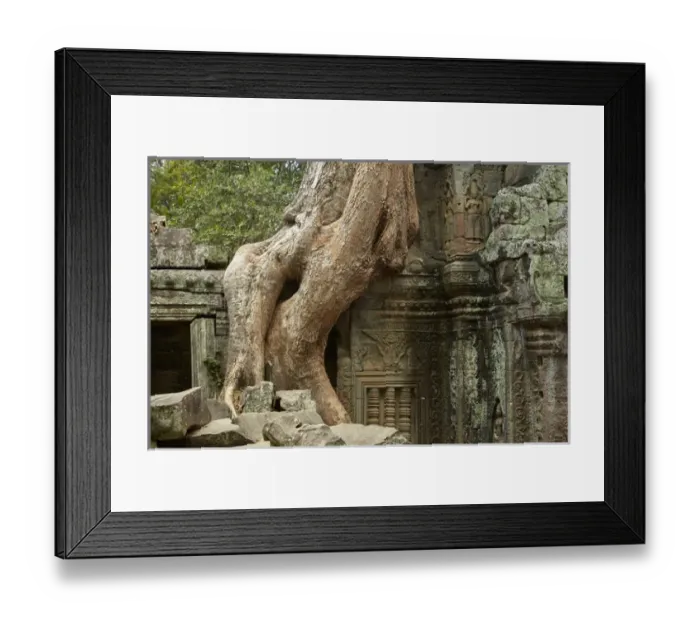 Framed Print : Tree roots growing over Ta Prohm temple ruins (12th century), Angkor World Heritage Site