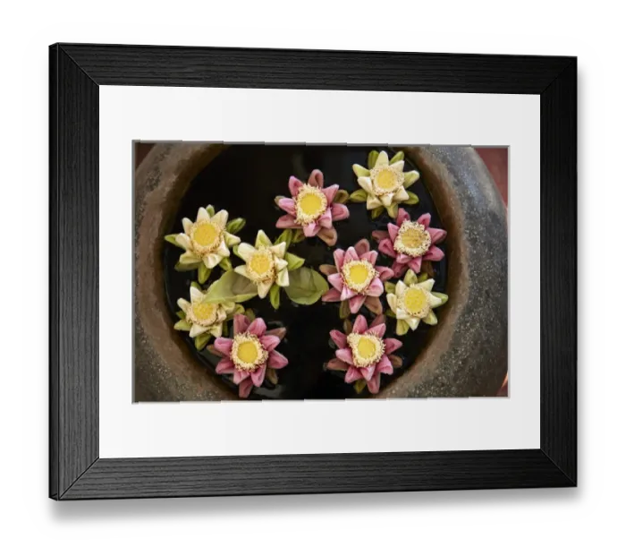 Framed Print : Flowers floating in pot, Okay 1 Villa Hotel, Siem Reap, Cambodia