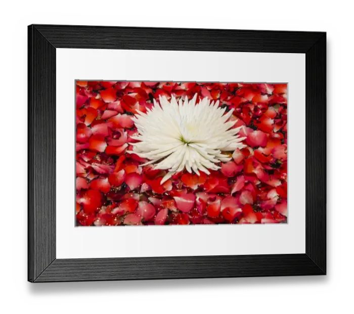 Framed Print : Floral display in the lobby of the Dusit Thanis Hotel Dubai, United Arab Emirates (UAE) Framed Print : Floral display in the lobby of the Dusit Thanis Hotel Dubai, United Arab Emirates (UAE)