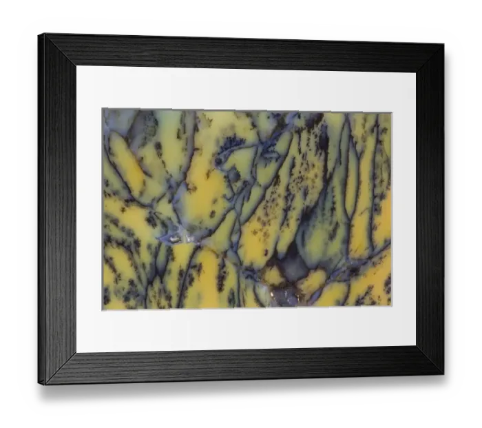Framed Print : Moss Opaline, Australia Framed Print : Moss Opaline, Australia
