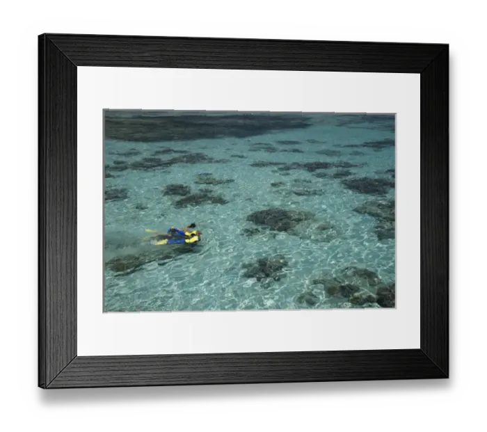 Framed Print : Snorkelers and Reef, Green Island, Great Barrier Reef Marine Park, North Queensland Framed Print : Snorkelers and Reef, Green Island, Great Barrier Reef Marine Park, North Queensland