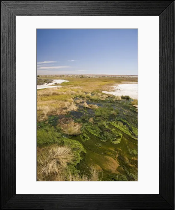 Framed Print : The Bubbler Mound Spring, Oodnadatta Track, Outback, South Australia, Australia