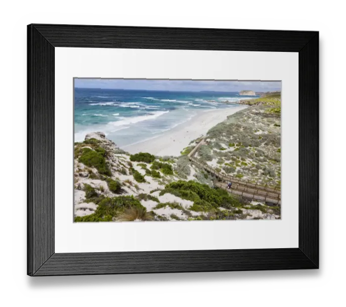 Framed Print : Australian Sea Lion (Neophoca cinerea) in the Seal Bay Conservatino Park, kangaroo Island