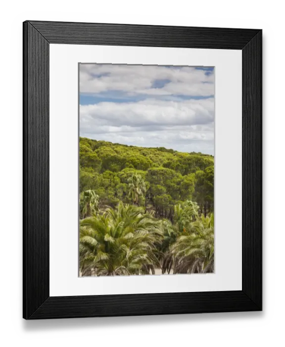 Framed Print : Australia, South Australia, Barossa Valley, Seppeltsfield, Seppeltsfield Winery Framed Print : Australia, South Australia, Barossa Valley, Seppeltsfield, Seppeltsfield Winery