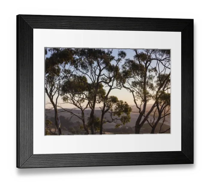 Framed Print : Australia, South Australia, Barossa Valley, Tanunda, Menglers Hill, gum trees