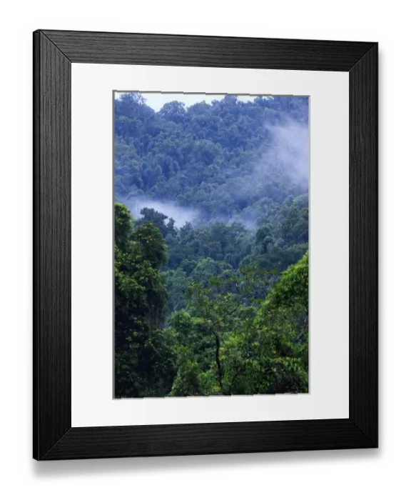 Framed Print : Thick, tropical rainforest covered mountains surround the Babinda Boulders, an hour s Framed Print : Thick, tropical rainforest covered mountains surround the Babinda Boulders, an hour s