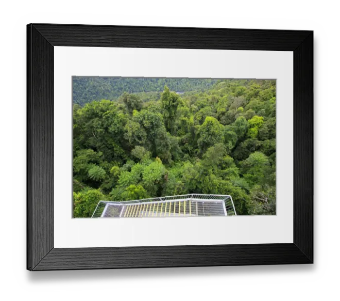 Framed Print : The spectacular view out over the North Johnstone River from the top of the 37 metre Framed Print : The spectacular view out over the North Johnstone River from the top of the 37 metre