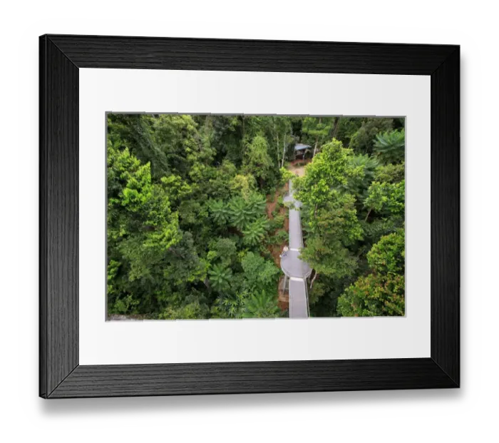 Framed Print : The spectacular view out over the North Johnstone River from the top of the 37 metre