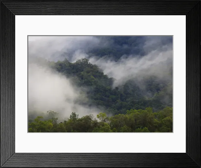 Framed Print : Thick cloud covers the tropical rainforest covered mountains that surround Cairns Framed Print : Thick cloud covers the tropical rainforest covered mountains that surround Cairns