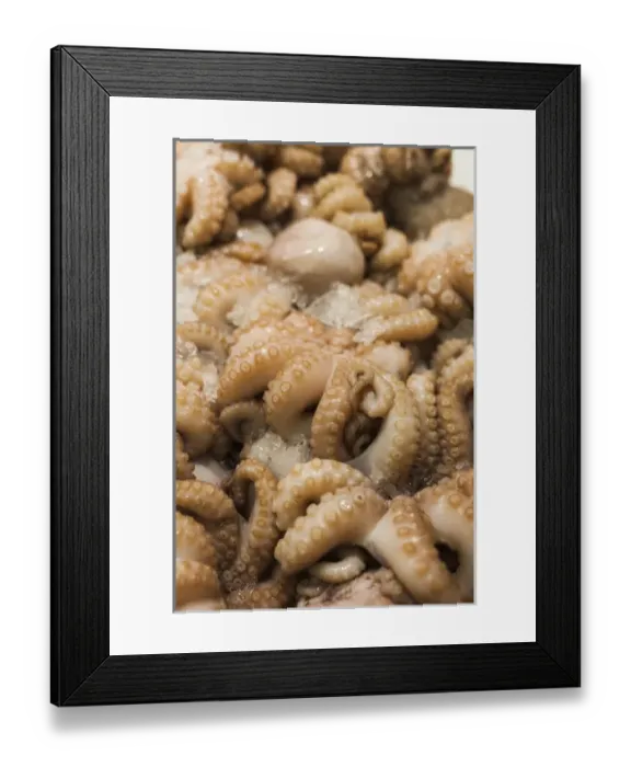 Framed Print : Australia, New South Wales, NSW, Sydney, Sydney Fish Market, octopus Framed Print : Australia, New South Wales, NSW, Sydney, Sydney Fish Market, octopus