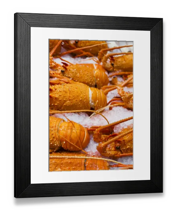Framed Print : Australia, New South Wales, NSW, Sydney, Sydney Fish Market, lobster Framed Print : Australia, New South Wales, NSW, Sydney, Sydney Fish Market, lobster