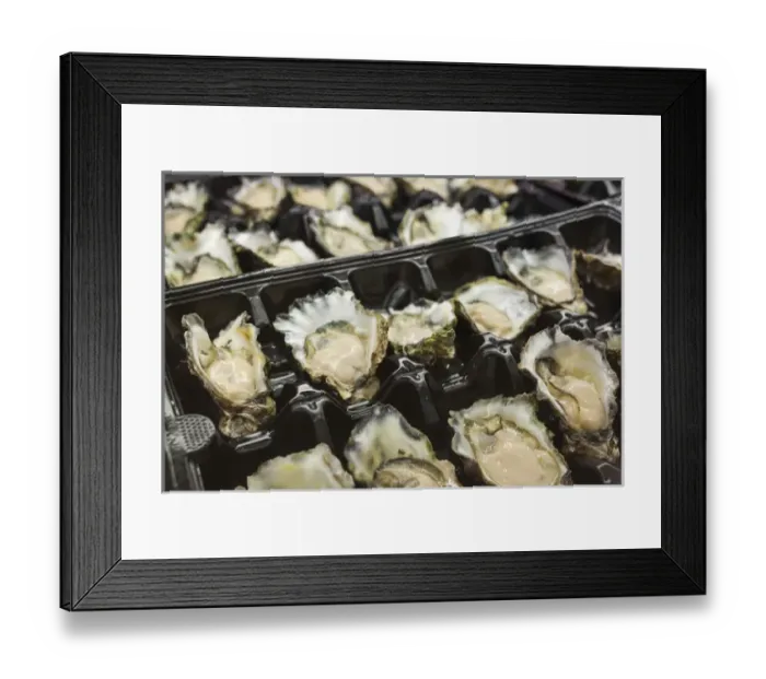 Framed Print : Australia, New South Wales, NSW, Sydney, Sydney Fish Market, shelled oysters Framed Print : Australia, New South Wales, NSW, Sydney, Sydney Fish Market, shelled oysters
