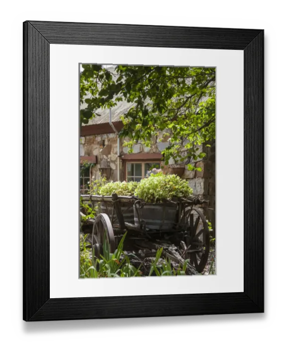 Framed Print : Australia, South Australia, Adelaide Hills, Hahndorf, German-themed village, old