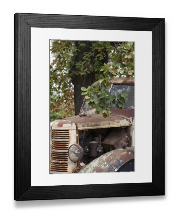 Framed Print : Australia, Western Australia, The Southwest, Boyup Brook, old truck Framed Print : Australia, Western Australia, The Southwest, Boyup Brook, old truck