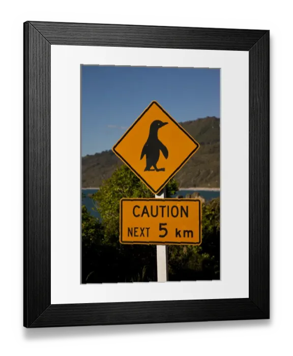 Framed Print : South Pacific, New Zealand, South Island. Traffic sign protecting penguins. Credit as Framed Print : South Pacific, New Zealand, South Island. Traffic sign protecting penguins. Credit as