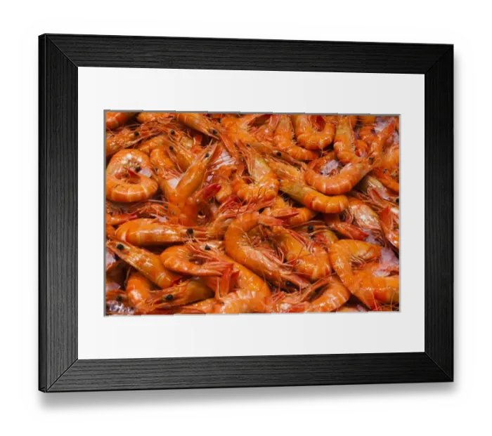 Framed Print : Australia, New South Wales, NSW, Sydney, Sydney Fish Market, shrimp Framed Print : Australia, New South Wales, NSW, Sydney, Sydney Fish Market, shrimp