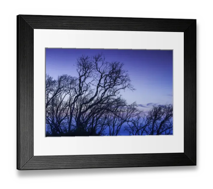Framed Print : Australia, Western Australia, The Southwest, Prevelly, Surfers Point, tree silhouettes Framed Print : Australia, Western Australia, The Southwest, Prevelly, Surfers Point, tree silhouettes
