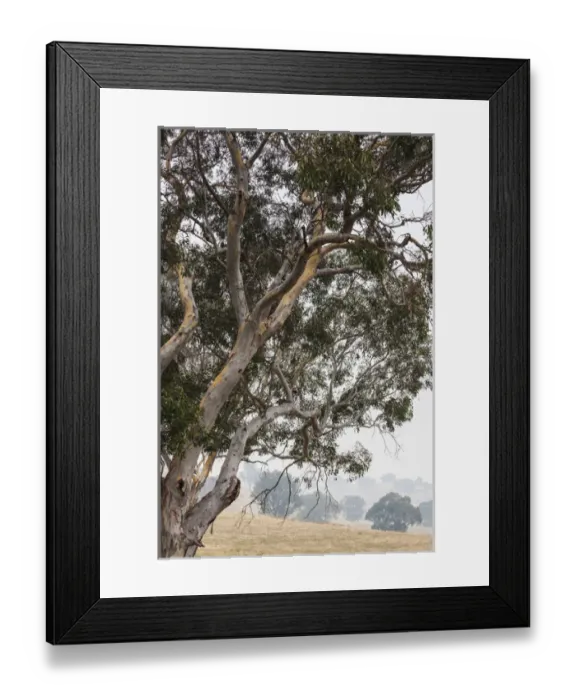 Framed Print : Australia, New South Wales, NSW, Khancoban, landscape with smoke from summer forest fires Framed Print : Australia, New South Wales, NSW, Khancoban, landscape with smoke from summer forest fires