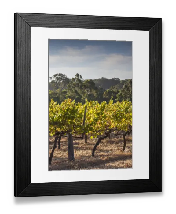 Framed Print : Australia, Western Australia, The Southwest, Margaret River Wine Region, Margaret River Framed Print : Australia, Western Australia, The Southwest, Margaret River Wine Region, Margaret River